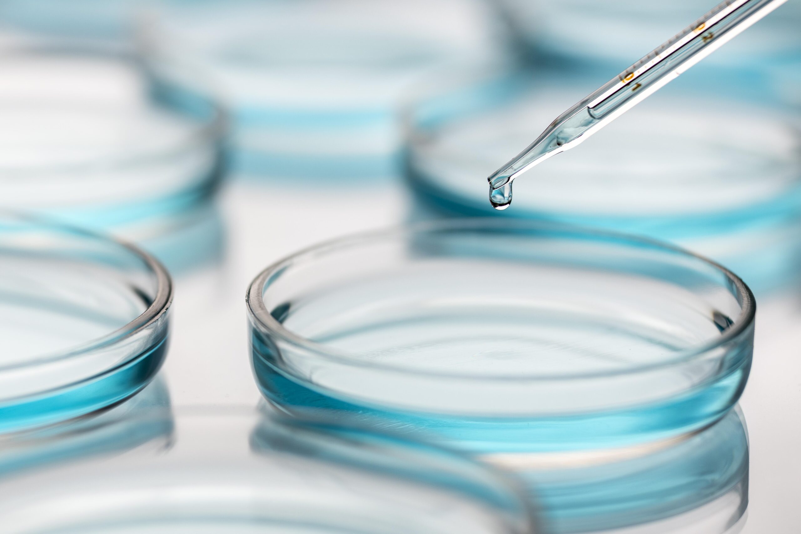 Reprodução Humana Assistida